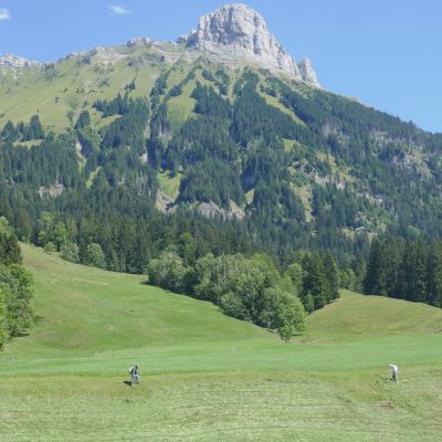 123 Blick auf den Schiebegütsch